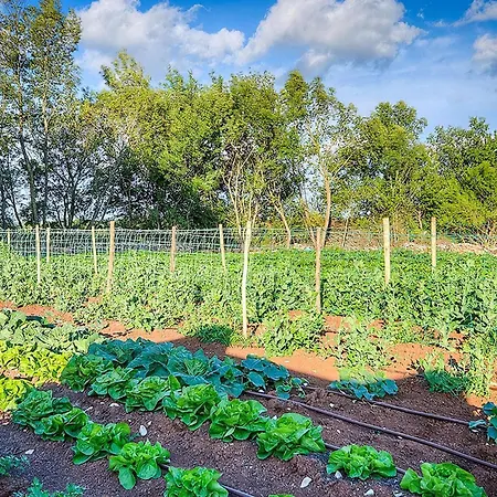 Сasa de vacaciones Nevia Ladici